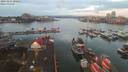 ./images/victoria/wharf/20191227/wharf20191227_080451.jpg