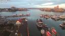./images/victoria/wharf/20191227/wharf20191227_080954.jpg