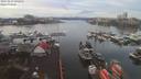 ./images/victoria/wharf/20191227/wharf20191227_092951.jpg