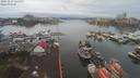 ./images/victoria/wharf/20191227/wharf20191227_115957.jpg