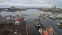 ./images/victoria/wharf/20191227/wharf20191227_122451.jpg