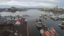 ./images/victoria/wharf/20191227/wharf20191227_122954.jpg