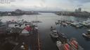 ./images/victoria/wharf/20191227/wharf20191227_130958.jpg