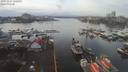 ./images/victoria/wharf/20191227/wharf20191227_132457.jpg
