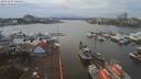 ./images/victoria/wharf/20191227/wharf20191227_144453.jpg