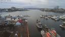 ./images/victoria/wharf/20191227/wharf20191227_144955.jpg