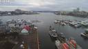 ./images/victoria/wharf/20191227/wharf20191227_145951.jpg
