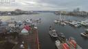 ./images/victoria/wharf/20191227/wharf20191227_151450.jpg