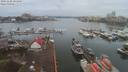 ./images/victoria/wharf/20191228/wharf20191228_091449.jpg