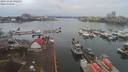 ./images/victoria/wharf/20191228/wharf20191228_092455.jpg