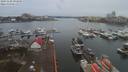./images/victoria/wharf/20191228/wharf20191228_094950.jpg