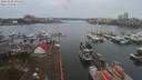 ./images/victoria/wharf/20191228/wharf20191228_095453.jpg