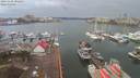 ./images/victoria/wharf/20191228/wharf20191228_102451.jpg