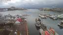 ./images/victoria/wharf/20191228/wharf20191228_105448.jpg