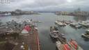 ./images/victoria/wharf/20191228/wharf20191228_112455.jpg