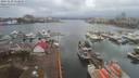 ./images/victoria/wharf/20191228/wharf20191228_112958.jpg