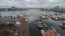 ./images/victoria/wharf/20191228/wharf20191228_114949.jpg
