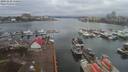 ./images/victoria/wharf/20191228/wharf20191228_120458.jpg