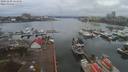 ./images/victoria/wharf/20191228/wharf20191228_124450.jpg