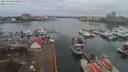 ./images/victoria/wharf/20191228/wharf20191228_130955.jpg