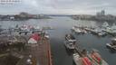 ./images/victoria/wharf/20191228/wharf20191228_132956.jpg