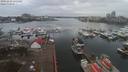 ./images/victoria/wharf/20191228/wharf20191228_135450.jpg
