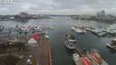./images/victoria/wharf/20191228/wharf20191228_141954.jpg