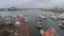 ./images/victoria/wharf/20191228/wharf20191228_143955.jpg