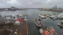 ./images/victoria/wharf/20191228/wharf20191228_144952.jpg