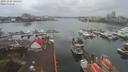./images/victoria/wharf/20191228/wharf20191228_145455.jpg