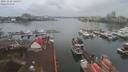 ./images/victoria/wharf/20191228/wharf20191228_145957.jpg