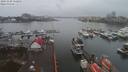 ./images/victoria/wharf/20191228/wharf20191228_152954.jpg