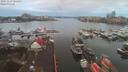 ./images/victoria/wharf/20191229/wharf20191229_081452.jpg