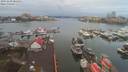 ./images/victoria/wharf/20191229/wharf20191229_084953.jpg