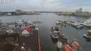 ./images/victoria/wharf/20191229/wharf20191229_101450.jpg