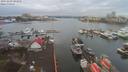 ./images/victoria/wharf/20191229/wharf20191229_101953.jpg