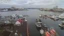 ./images/victoria/wharf/20191229/wharf20191229_102456.jpg