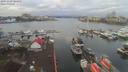 ./images/victoria/wharf/20191229/wharf20191229_104951.jpg