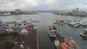 ./images/victoria/wharf/20191229/wharf20191229_105454.jpg