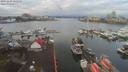./images/victoria/wharf/20191229/wharf20191229_105956.jpg