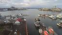 ./images/victoria/wharf/20191229/wharf20191229_111454.jpg