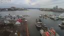 ./images/victoria/wharf/20191229/wharf20191229_115458.jpg