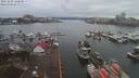 ./images/victoria/wharf/20191229/wharf20191229_120956.jpg