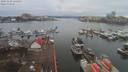 ./images/victoria/wharf/20191229/wharf20191229_121952.jpg