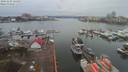 ./images/victoria/wharf/20191229/wharf20191229_123954.jpg