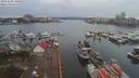 ./images/victoria/wharf/20191229/wharf20191229_130950.jpg