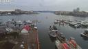 ./images/victoria/wharf/20191229/wharf20191229_131453.jpg