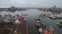 ./images/victoria/wharf/20191229/wharf20191229_160953.jpg