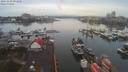 ./images/victoria/wharf/20191230/wharf20191230_091455.jpg