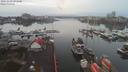 ./images/victoria/wharf/20191230/wharf20191230_092953.jpg